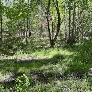 Photo #36 of SOLD property in Off Watoga Road, Dillwyn, VA 29.4 acres