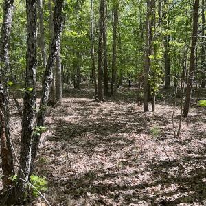Photo #37 of SOLD property in Off Watoga Road, Dillwyn, VA 29.4 acres