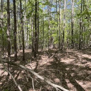 Photo #39 of SOLD property in Off Watoga Road, Dillwyn, VA 29.4 acres