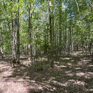 Photo #40 of SOLD property in Off Watoga Road, Dillwyn, VA 29.4 acres