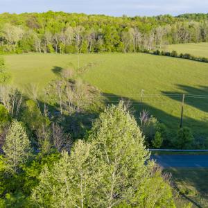 Photo #4 of SOLD property in Off Watoga Road, Dillwyn, VA 29.4 acres