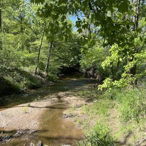 Photo #47 of SOLD property in Off Watoga Road, Dillwyn, VA 29.4 acres