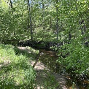 Photo #48 of SOLD property in Off Watoga Road, Dillwyn, VA 29.4 acres