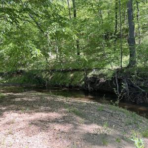 Photo #49 of SOLD property in Off Watoga Road, Dillwyn, VA 29.4 acres