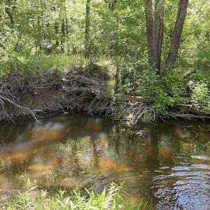 Photo #51 of SOLD property in Off Watoga Road, Dillwyn, VA 29.4 acres