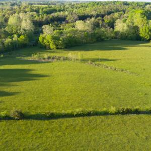Photo #6 of SOLD property in Off Watoga Road, Dillwyn, VA 29.4 acres
