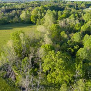Photo #8 of SOLD property in Off Watoga Road, Dillwyn, VA 29.4 acres
