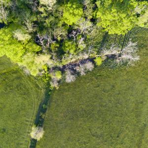 Photo #9 of SOLD property in Off Watoga Road, Dillwyn, VA 29.4 acres