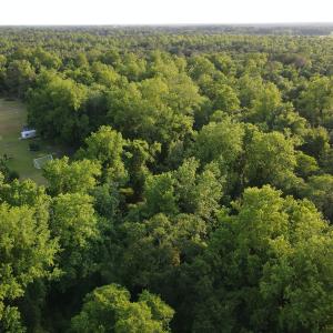Photo #3 of SOLD property in Off Sandlin Road, Beulaville, NC 11.3 acres
