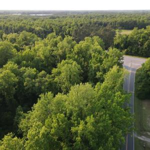 Photo #6 of SOLD property in Off Sandlin Road, Beulaville, NC 11.3 acres