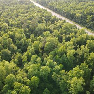 Photo #8 of SOLD property in Off Sandlin Road, Beulaville, NC 11.3 acres