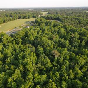 Photo #11 of SOLD property in Off Sandlin Road, Beulaville, NC 11.3 acres