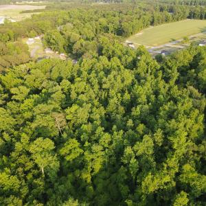 Photo #12 of SOLD property in Off Sandlin Road, Beulaville, NC 11.3 acres