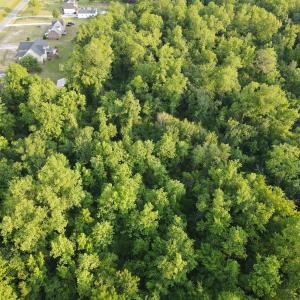 Photo #15 of SOLD property in Off Sandlin Road, Beulaville, NC 11.3 acres