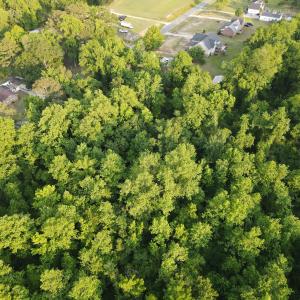 Photo #16 of SOLD property in Off Sandlin Road, Beulaville, NC 11.3 acres