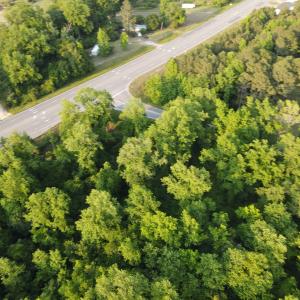 Photo #18 of SOLD property in Off Sandlin Road, Beulaville, NC 11.3 acres