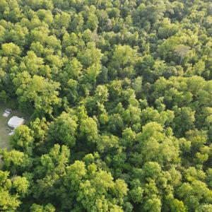 Photo #19 of SOLD property in Off Sandlin Road, Beulaville, NC 11.3 acres