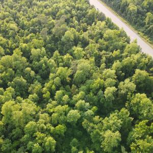 Photo #21 of SOLD property in Off Sandlin Road, Beulaville, NC 11.3 acres