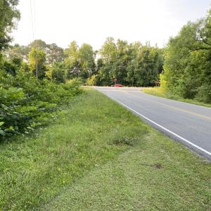 Photo #22 of SOLD property in Off Sandlin Road, Beulaville, NC 11.3 acres