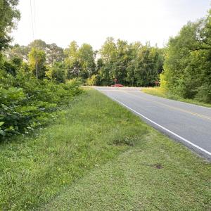 Photo #22 of SOLD property in Off Sandlin Road, Beulaville, NC 11.3 acres
