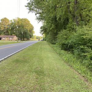 Photo #23 of SOLD property in Off Sandlin Road, Beulaville, NC 11.3 acres