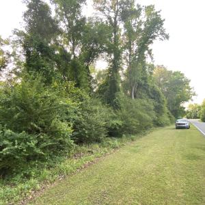 Photo #30 of SOLD property in Off Sandlin Road, Beulaville, NC 11.3 acres