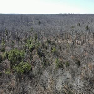 Photo #10 of Off Hatters Creek Road, Green Bay, VA 9.4 acres