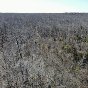 Photo #11 of Off Hatters Creek Road, Green Bay, VA 9.4 acres
