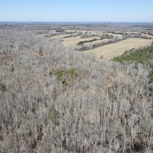 Photo #13 of Off Hatters Creek Road, Green Bay, VA 9.4 acres