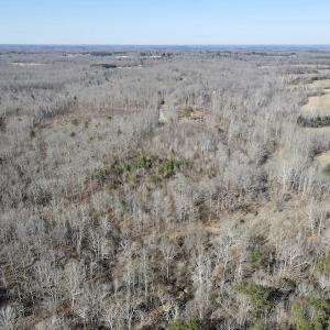 Photo #14 of Off Hatters Creek Road, Green Bay, VA 9.4 acres