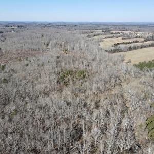 Photo #16 of Off Hatters Creek Road, Green Bay, VA 9.4 acres