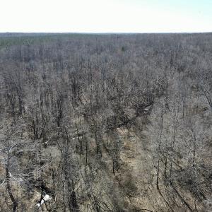 Photo #17 of Off Hatters Creek Road, Green Bay, VA 9.4 acres