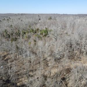 Photo #18 of Off Hatters Creek Road, Green Bay, VA 9.4 acres
