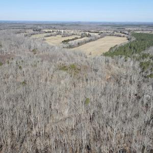 Photo #19 of Off Hatters Creek Road, Green Bay, VA 9.4 acres
