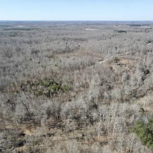 Photo #2 of Off Hatters Creek Road, Green Bay, VA 9.4 acres