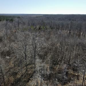 Photo #20 of Off Hatters Creek Road, Green Bay, VA 9.4 acres