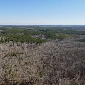 Photo #21 of Off Hatters Creek Road, Green Bay, VA 9.4 acres