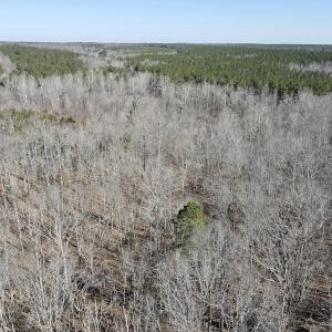 Photo #22 of Off Hatters Creek Road, Green Bay, VA 9.4 acres