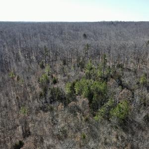 Photo #23 of Off Hatters Creek Road, Green Bay, VA 9.4 acres