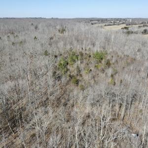 Photo #24 of Off Hatters Creek Road, Green Bay, VA 9.4 acres
