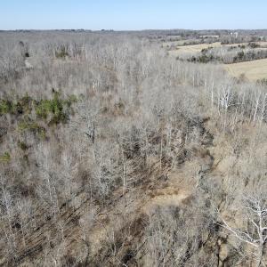 Photo #25 of Off Hatters Creek Road, Green Bay, VA 9.4 acres