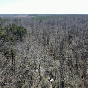 Photo #26 of Off Hatters Creek Road, Green Bay, VA 9.4 acres