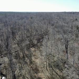 Photo #27 of Off Hatters Creek Road, Green Bay, VA 9.4 acres