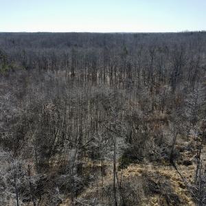 Photo #28 of Off Hatters Creek Road, Green Bay, VA 9.4 acres
