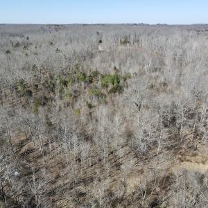 Photo #29 of Off Hatters Creek Road, Green Bay, VA 9.4 acres