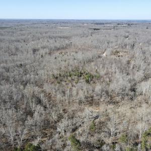 Photo #3 of Off Hatters Creek Road, Green Bay, VA 9.4 acres