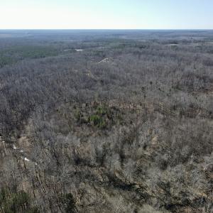 Photo #30 of Off Hatters Creek Road, Green Bay, VA 9.4 acres