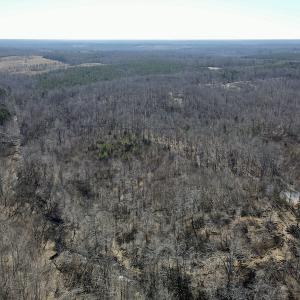 Photo #31 of Off Hatters Creek Road, Green Bay, VA 9.4 acres