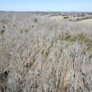 Photo #32 of Off Hatters Creek Road, Green Bay, VA 9.4 acres