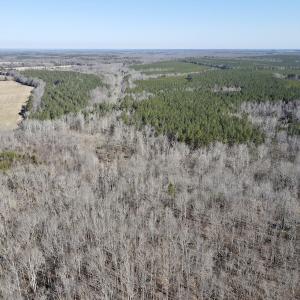 Photo #33 of Off Hatters Creek Road, Green Bay, VA 9.4 acres